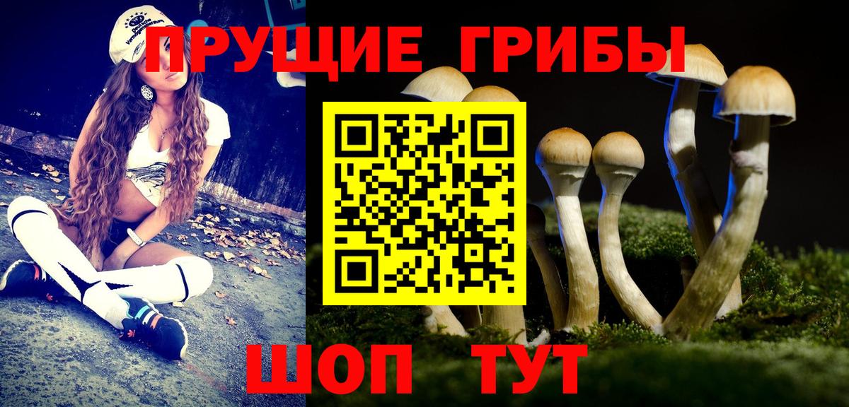 Галлюциногенные грибы Cubensis  Вход с VPN  Новочеркасск  Галлюциногенные грибы Magic Shrooms 
